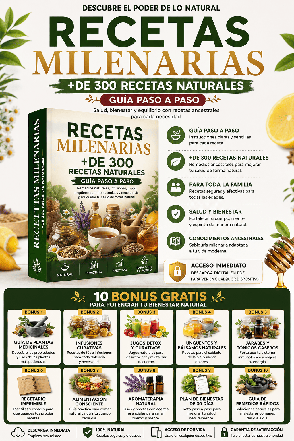 Recetas Milenarias Premium